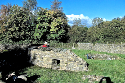 DRY STONE WALLING